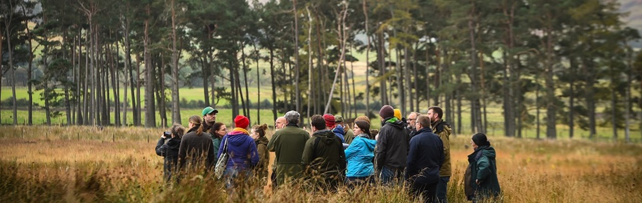 FWN Showcase Rottal trees group CREDIT Andy Buchanan web size.jpg