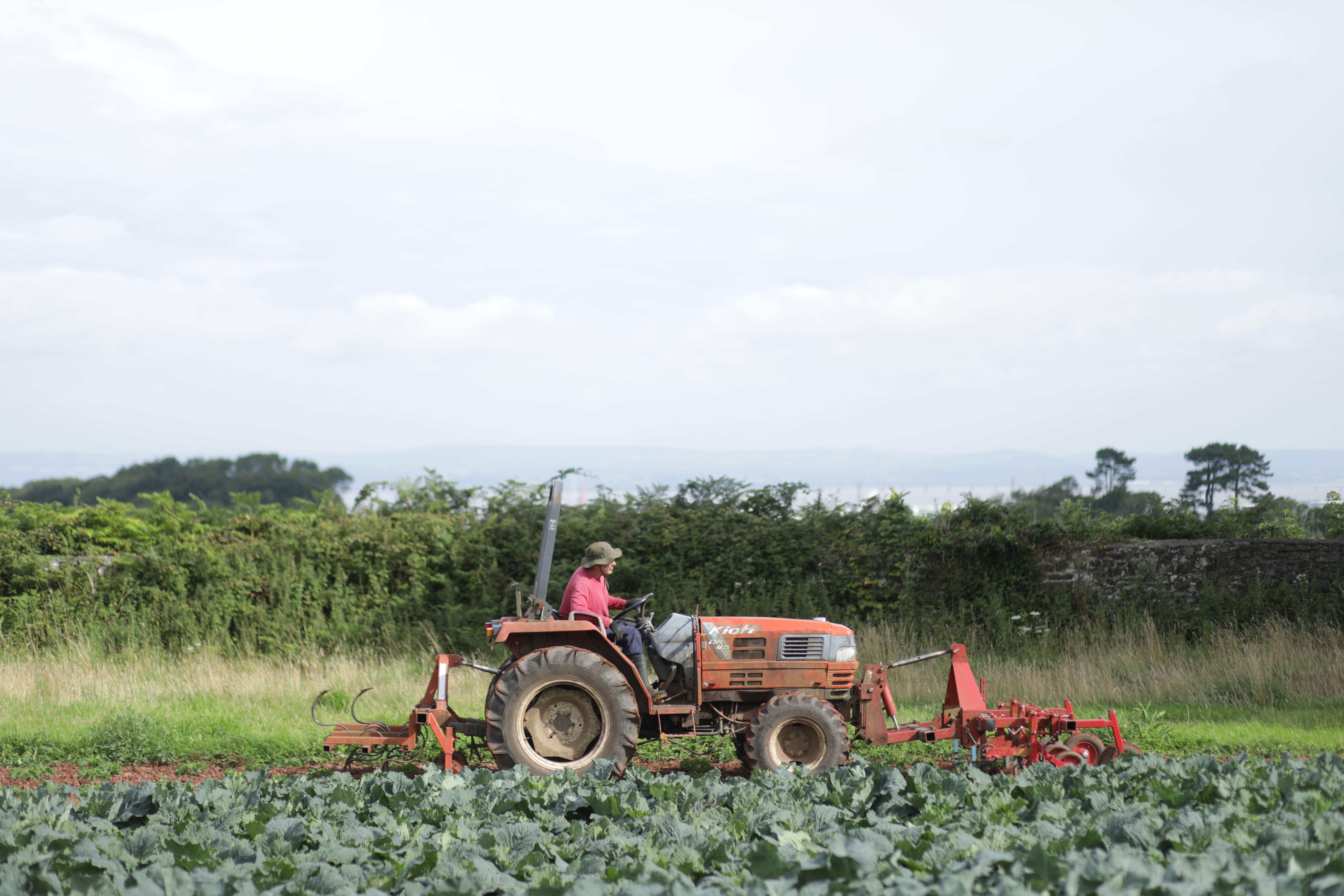 man-driving-a-tractor-organic-Helens-Farm-noexpiry-credit-Jason-Taylor