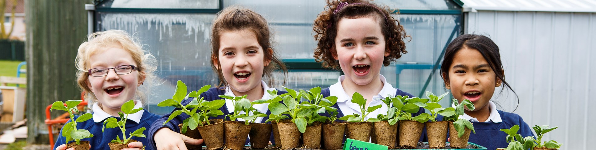 Getting Kids Growing with Food For Life and Pukka Herbs
