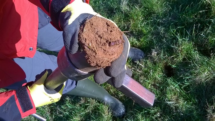soil sampling