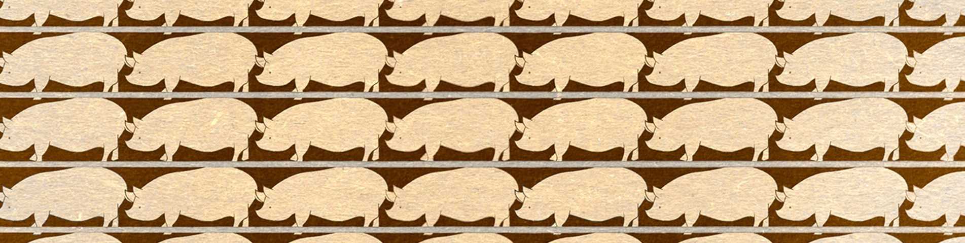 Homepage Banner 2.jpg