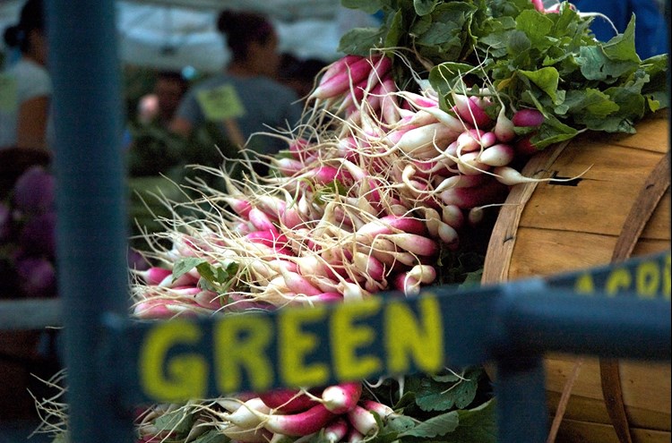 Green City Market in Chicago. Photo by Tom Campone on flickr