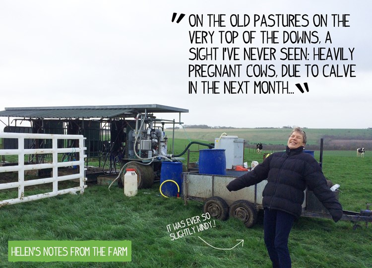 Helen Browning on Eastbrook Farm