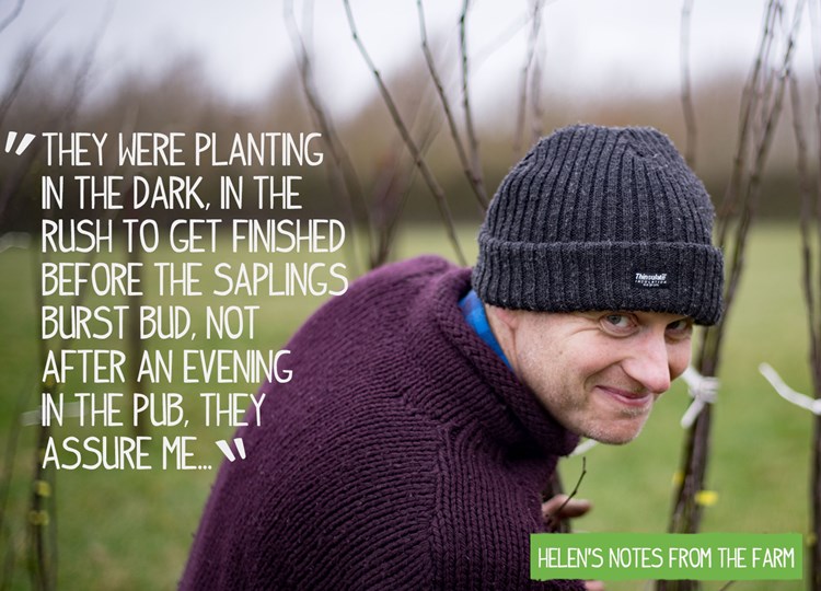 ben and trees on Eastbrook farm