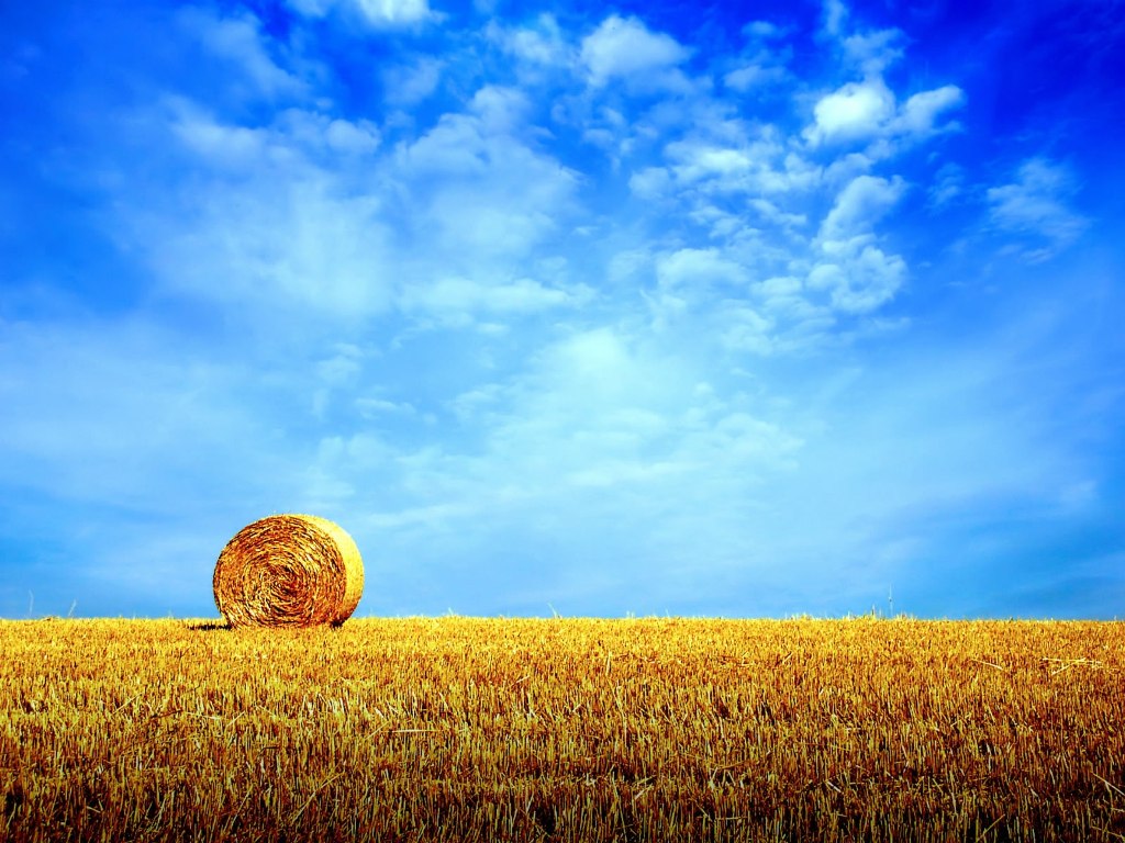Download the report: Organic farming and growing - does it stack up?