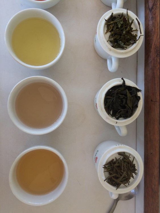 Brewing different teas