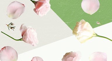 Organic Beauty & Wellbeing Week