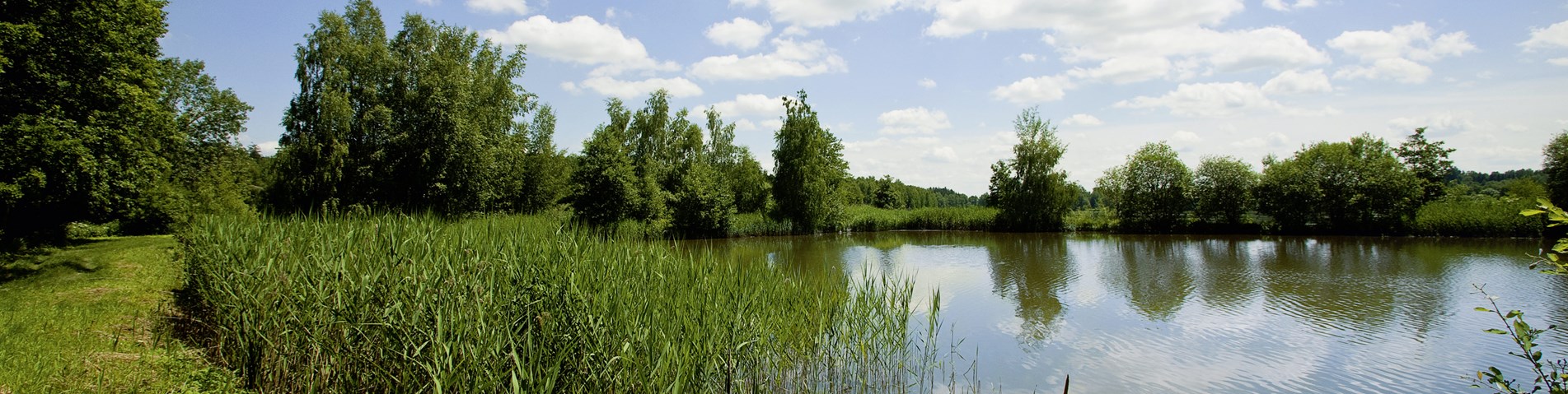 ec_organic_132_big.jpg (1)