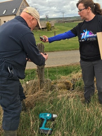 setting up bee nests