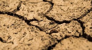 Our Government Priorities