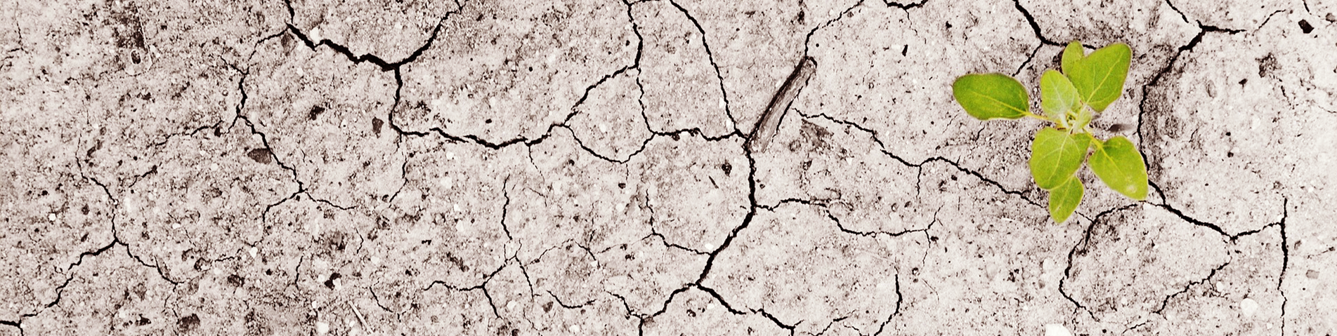 climate-change-1325882_1920.png