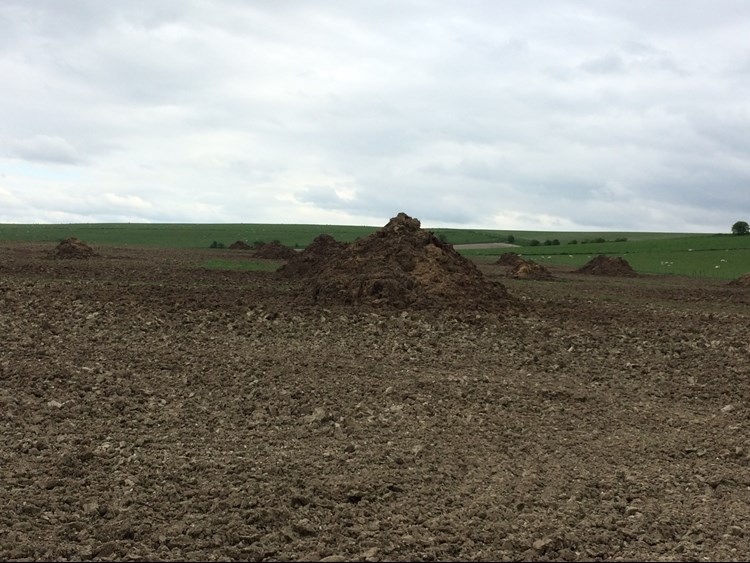 Mountains of manure!