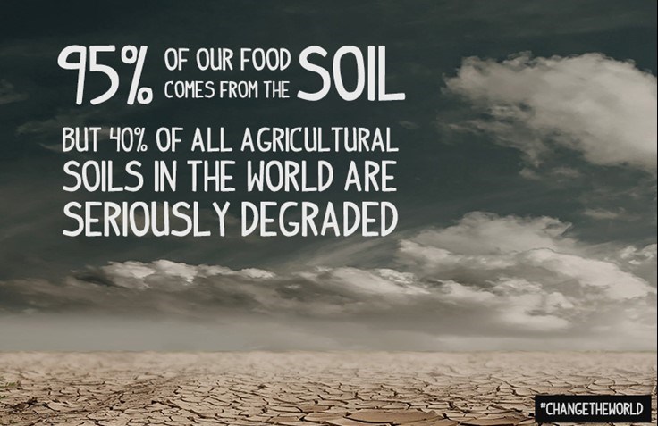 soil stat
