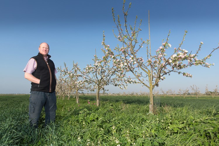 stephen briggs agroforestry