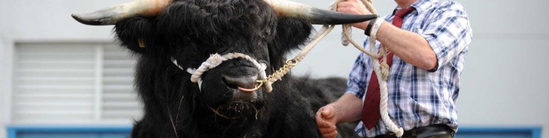 Highland Hall RHS.jpg