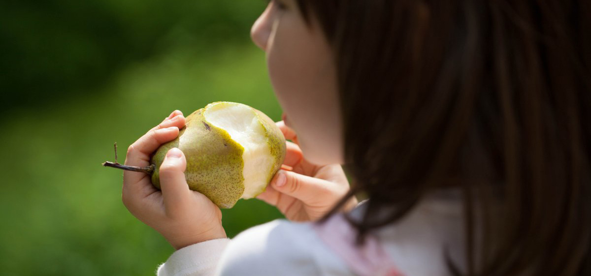 New obesity plan falls short