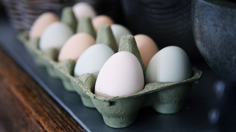 organic eggs