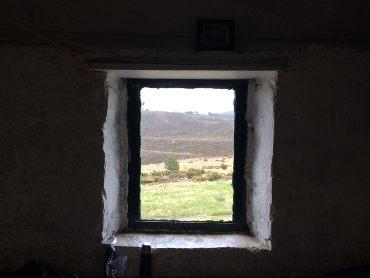 looking through a window