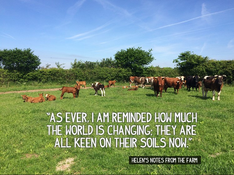 “As ever, I am reminded how much  the world is changing; they are  all keen on their soils now.”