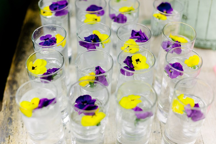 gin with flowers in the glass