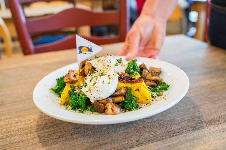 Meal made with organic food