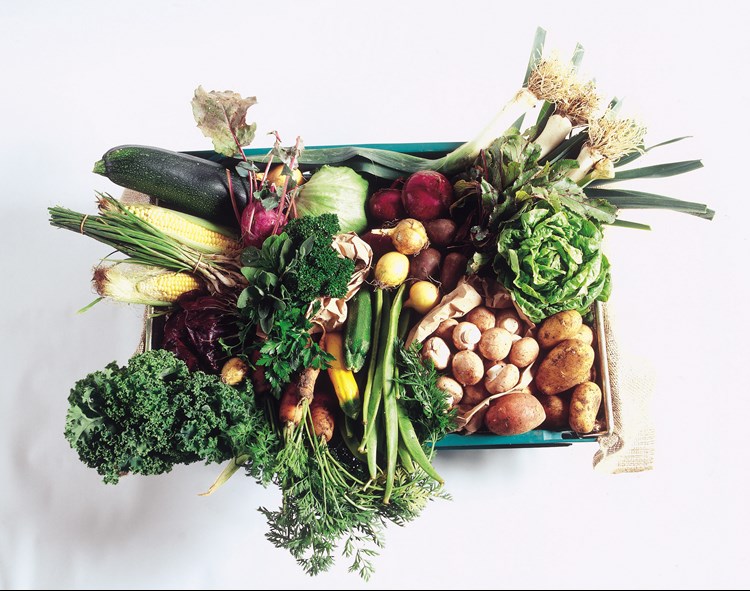 lots of vegetables in a box