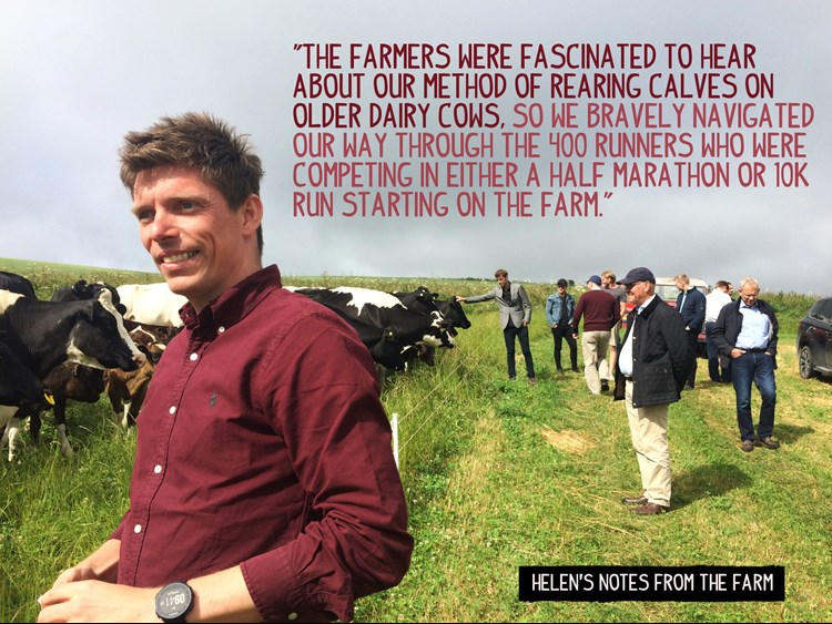 Danish farmers visiting Helen's farm