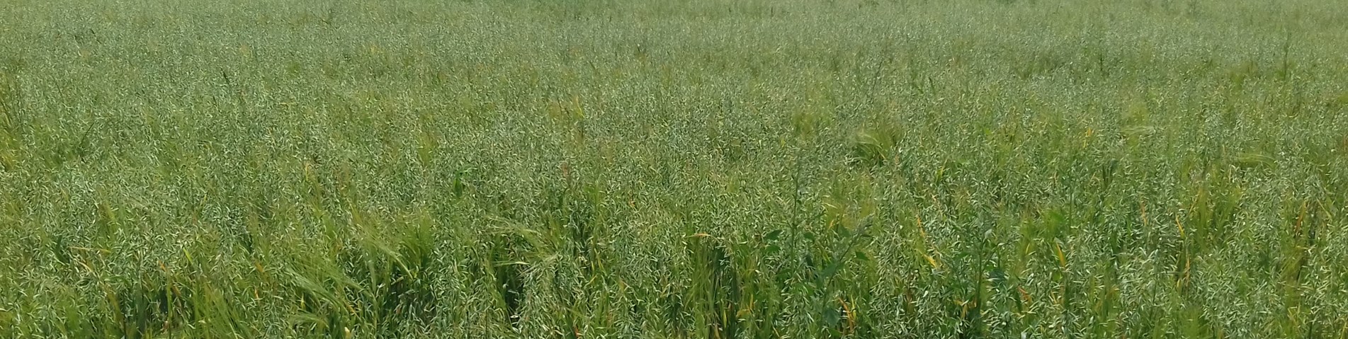 20170705_153841.jpg