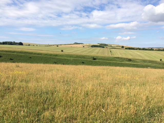 Helen's Notes From The Farm - Week 13