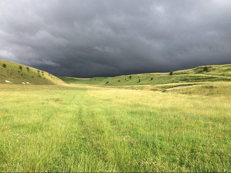 Storm at Helen's text