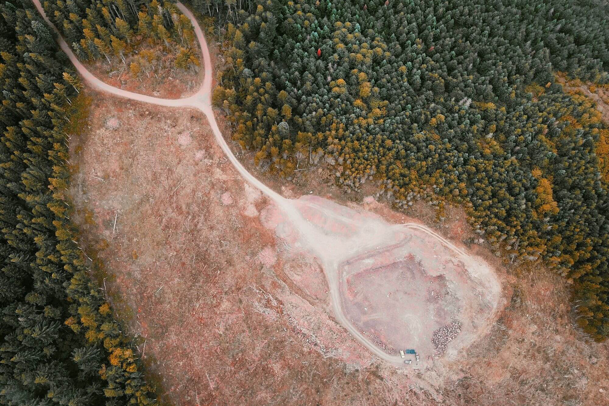 An expanse of deforested woodland