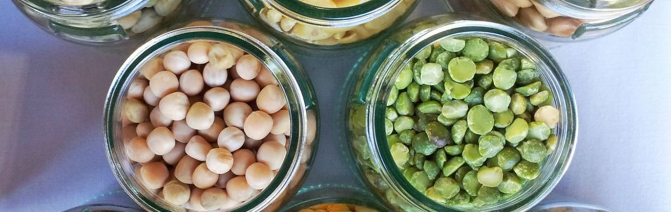 Various-Pulses-1200x800_1024x1024.jpg