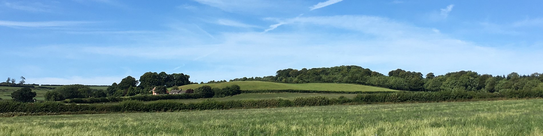 xfarming-banner.jpg
