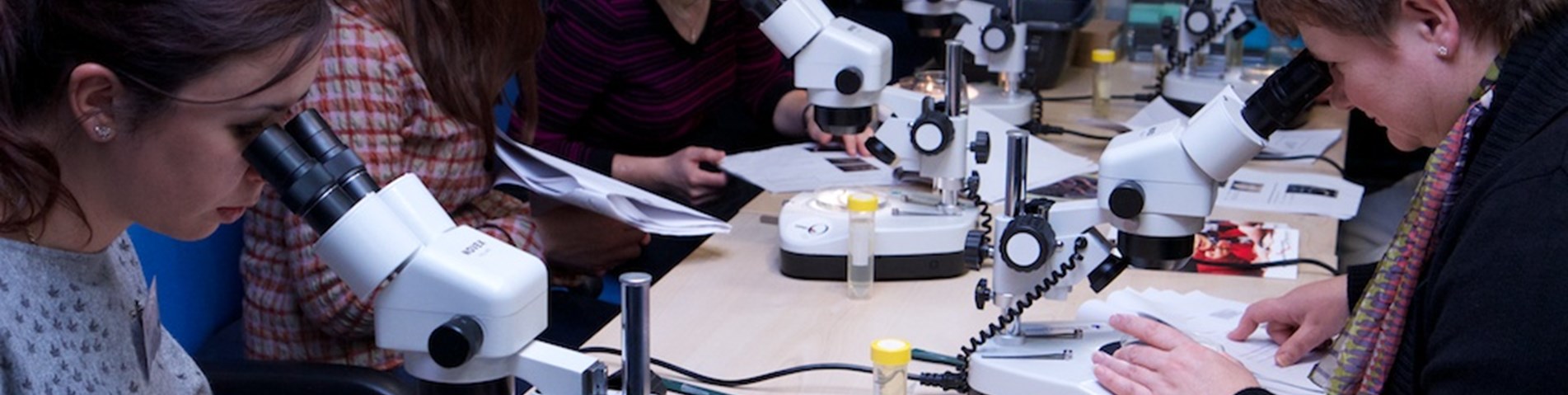 Microscopes (3)