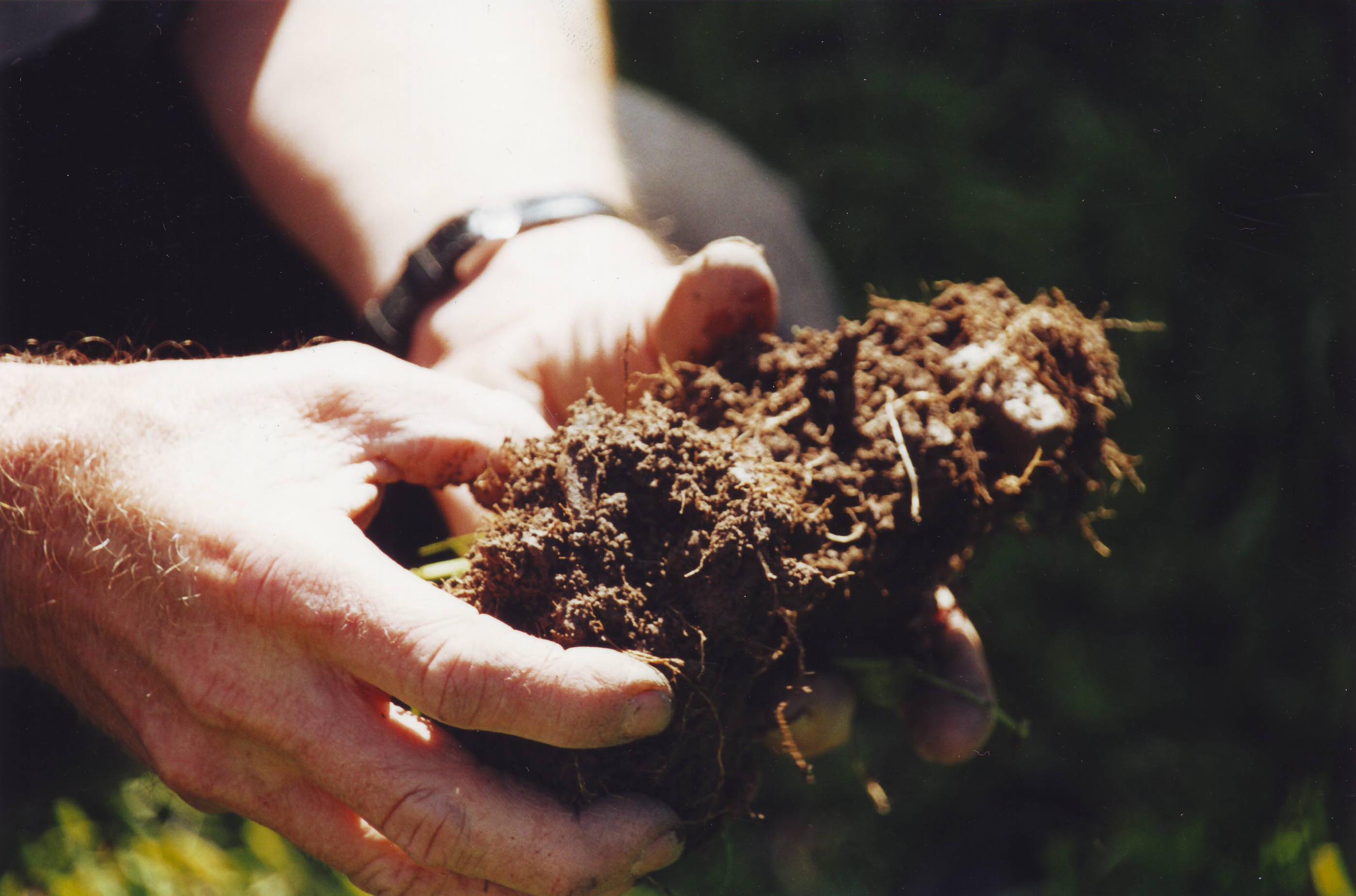Soil Health