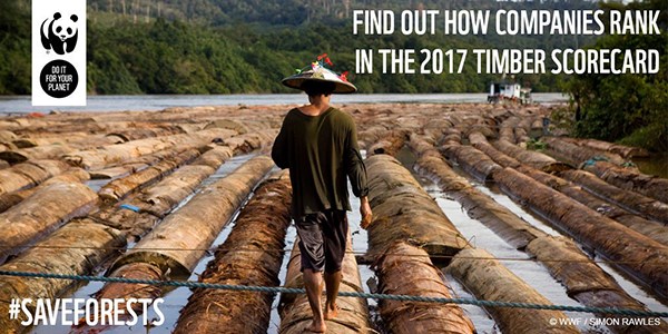 Timber Scorecard