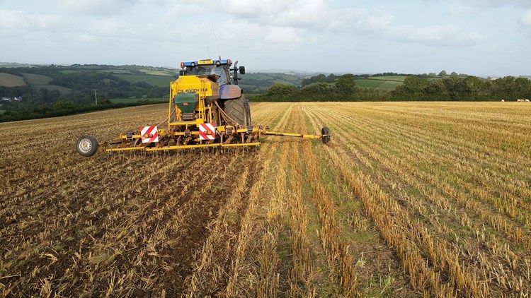 tractor and field