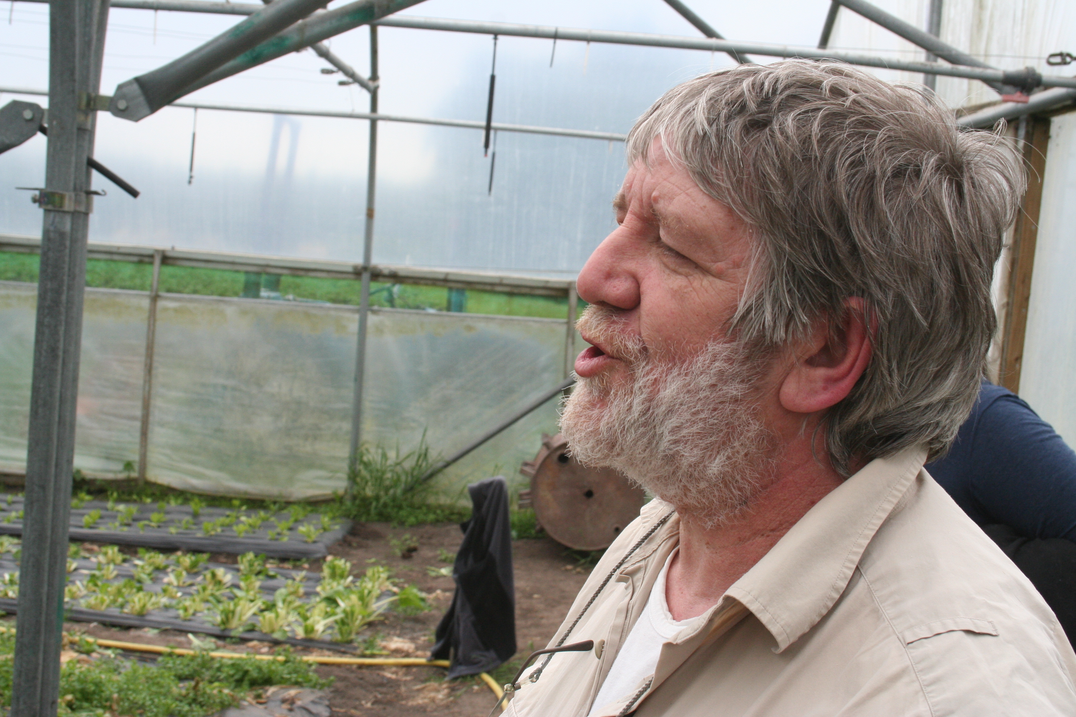 Alan Schofield: Profit through trees
