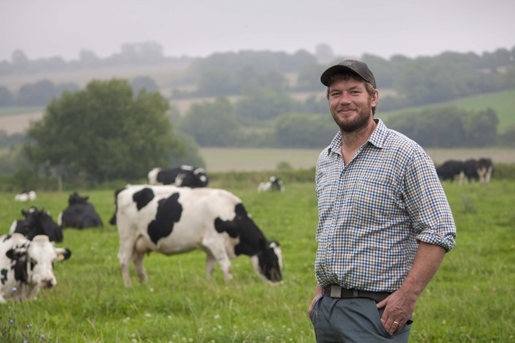 Farmer and Cows at Helen Browning Organic