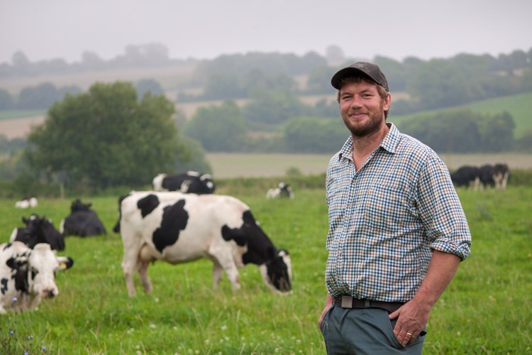 Cow wellbeing