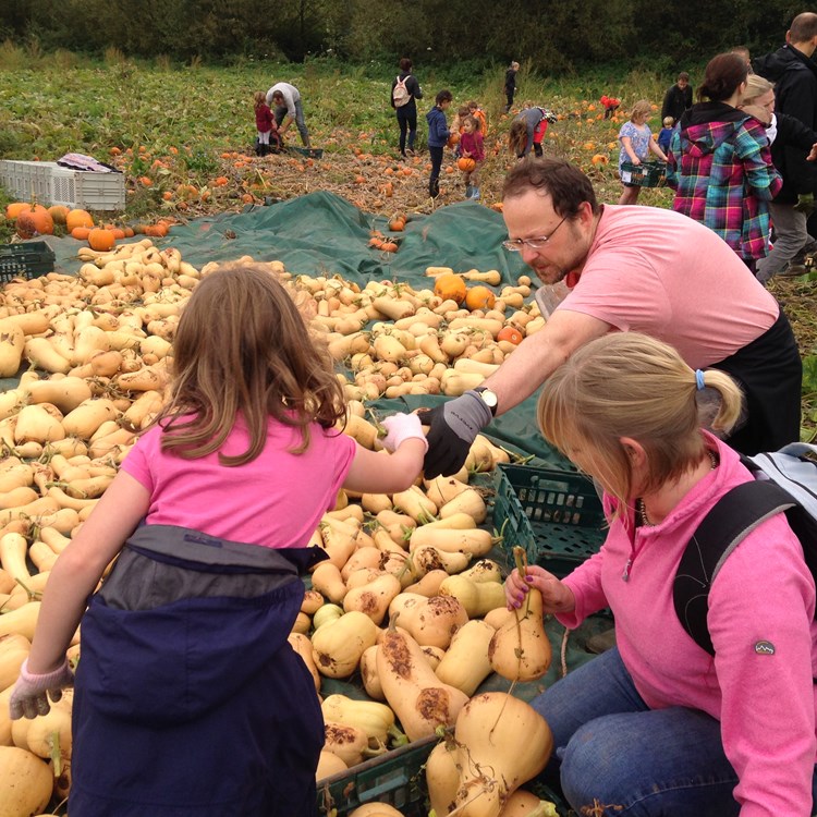 collecting and displaying the squashes