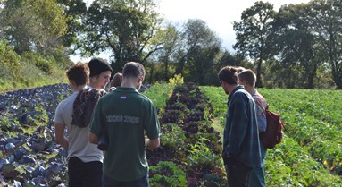 Thinking of signing up to Future Growers 2018?