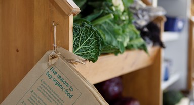 Organic Food Packaging Regulations - Organic Food