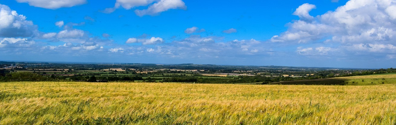 helens-farm-2.jpg