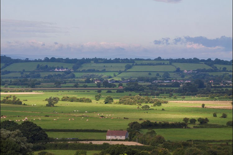 fields landscape