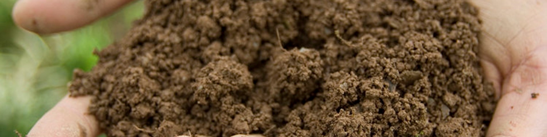 rsz_riverford_picture_065_copy.jpg