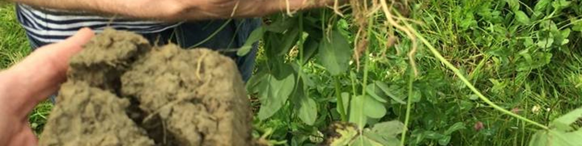 Orkney compaction.jpg