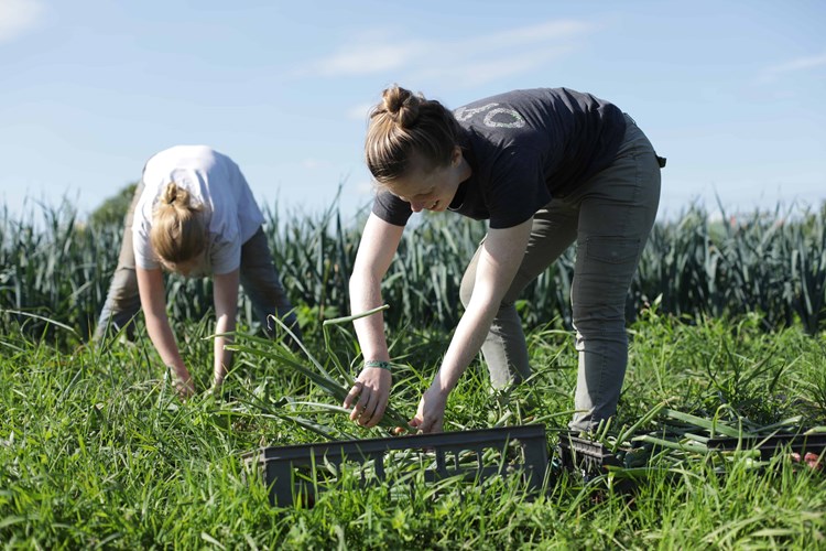 Millennial Women Digging