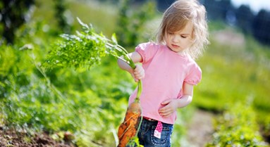 Know Your Organic Roots
