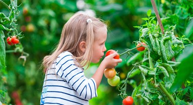 Know Your Organic Roots